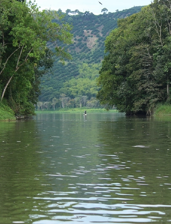 Gestión ambiental integral